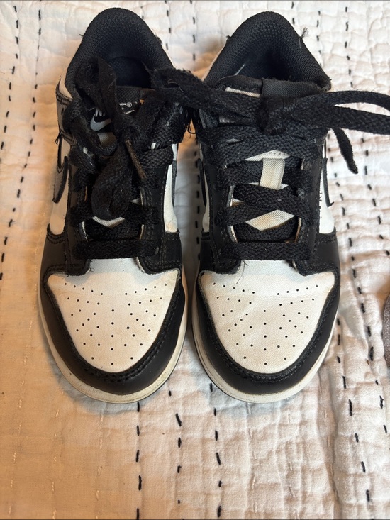 Nike Other - Kids Nike Dunks